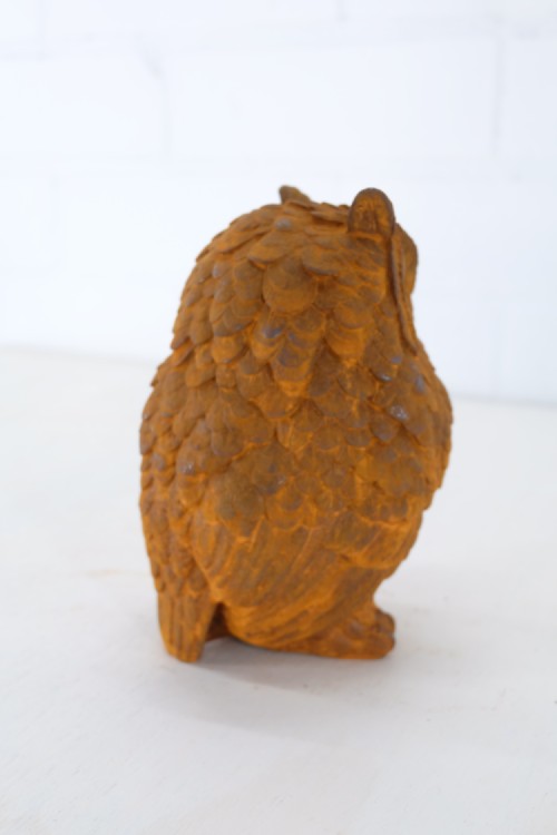 Uil - groot