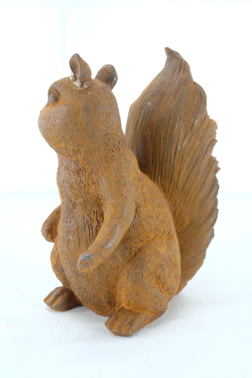 Eekhoorn - groot