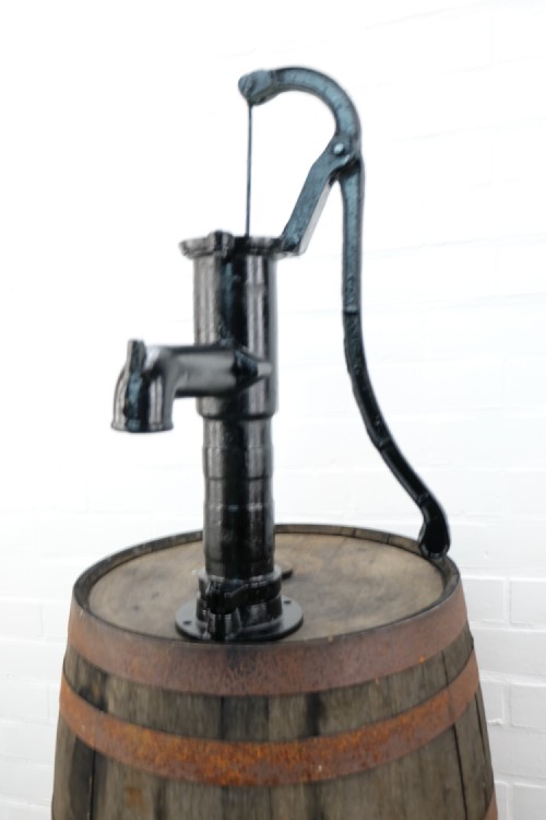 Whiskyton 180l met pomp